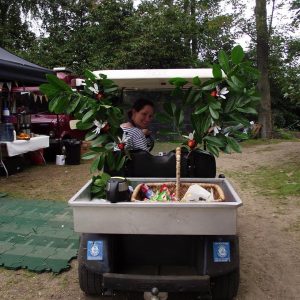 Photograph of a Yummies crew member driving a buggy.