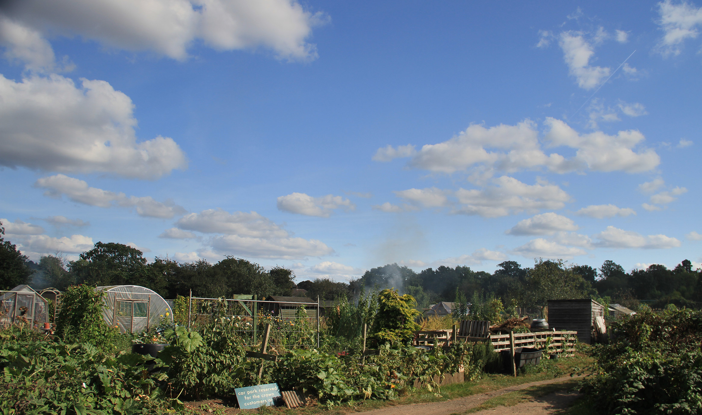 A high-resolution photograph of an allotment in England.